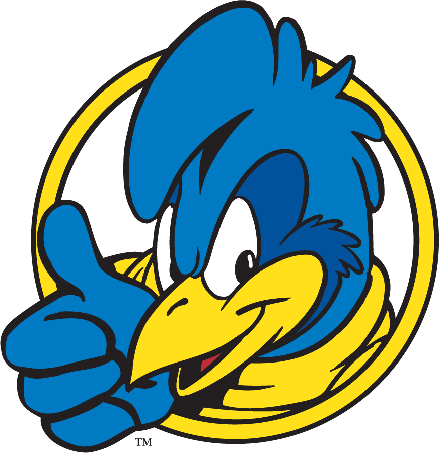 Delaware Blue Hens 1999-2009 Mascot Logo v10 diy iron on heat transfer